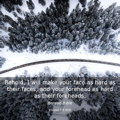Picture 03 - Ezekiel 3:8 BSB - Behold, I will make your face as hard as their - Bible Verse Picture