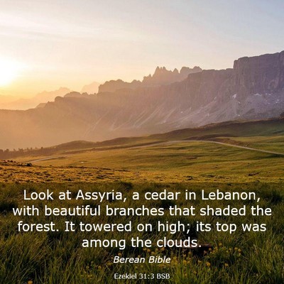Picture 03 - Ezekiel 31:3 BSB - Look at Assyria, a cedar in Lebanon, with - Bible Verse Picture