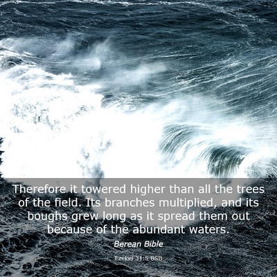Picture 03 - Ezekiel 31:5 BSB - Therefore it towered higher than all the trees of - Bible Verse Picture