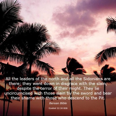 Picture 03 - Ezekiel 32:30 BSB - All the leaders of the north and all the - Bible Verse Picture
