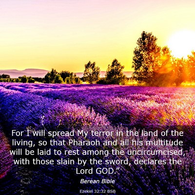 Picture 03 - Ezekiel 32:32 BSB - For I will spread My terror in the land of the - Bible Verse Picture
