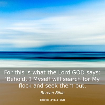 Picture 03 - Ezekiel 34:11 BSB - For this is what the Lord GOD says: ‘Behold, I - Bible Verse Picture