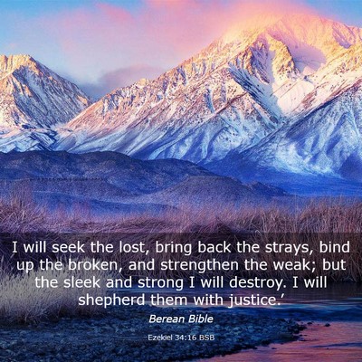 Picture 03 - Ezekiel 34:16 BSB - I will seek the lost, bring back the strays, bind - Bible Verse Picture