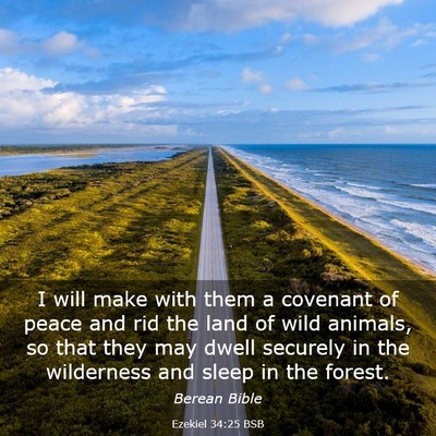 Picture 03 - Ezekiel 34:25 BSB - I will make with them a covenant of peace and rid - Bible Verse Picture