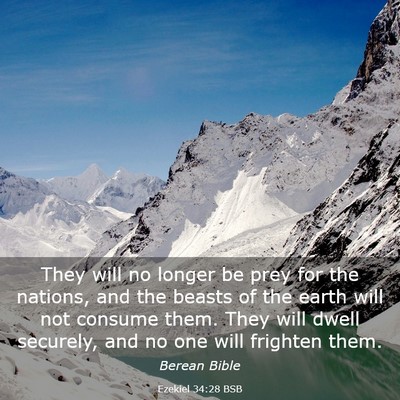 Picture 03 - Ezekiel 34:28 BSB - They will no longer be prey for the nations, and - Bible Verse Picture
