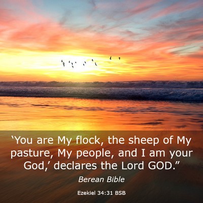 Picture 03 - Ezekiel 34:31 BSB - ‘You are My flock, the sheep of My pasture, My - Bible Verse Picture
