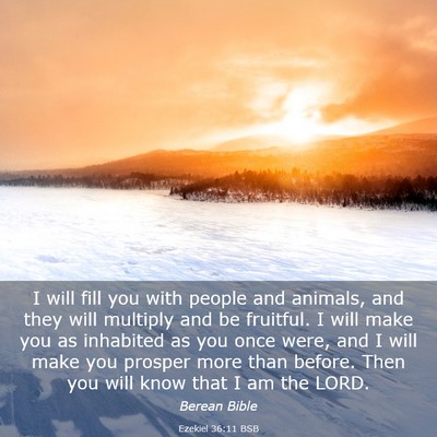 Picture 03 - Ezekiel 36:11 BSB - I will fill you with people and animals, and they - Bible Verse Picture
