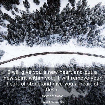 Picture 03 - Ezekiel 36:26 BSB - I will give you a new heart and put a new spirit - Bible Verse Picture