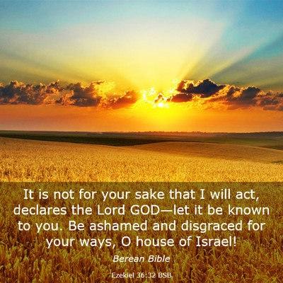 Picture 03 - Ezekiel 36:32 BSB - It is not for your sake that I will act, declares - Bible Verse Picture