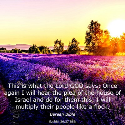 Picture 03 - Ezekiel 36:37 BSB - This is what the Lord GOD says: Once again I will - Bible Verse Picture