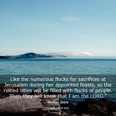 Picture 03 - Ezekiel 36:38 BSB - Like the numerous flocks for sacrifices at - Bible Verse Picture
