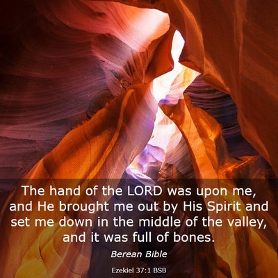 Picture 03 - Ezekiel 37:1 BSB - The hand of the LORD was upon me, and He brought - Bible Verse Picture