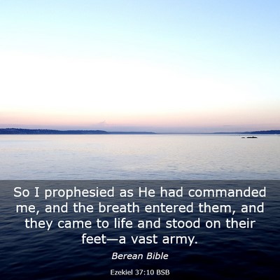 Picture 03 - Ezekiel 37:10 BSB - So I prophesied as He had commanded me, and the - Bible Verse Picture