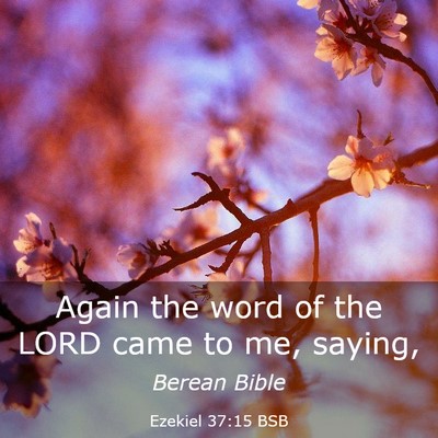 Picture 03 - Ezekiel 37:15 BSB - Again the word of the LORD came to me, - Bible Verse Picture