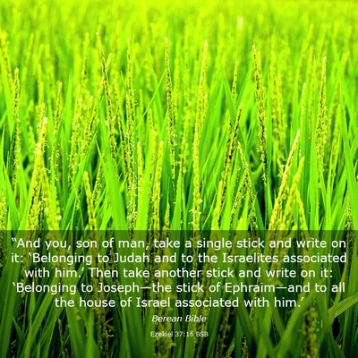 Picture 03 - Ezekiel 37:16 BSB - “And you, son of man, take a single stick and - Bible Verse Picture