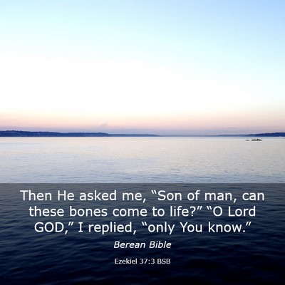 Picture 03 - Ezekiel 37:3 BSB - Then He asked me, “Son of man, can these bones - Bible Verse Picture