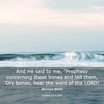 Picture 03 - Ezekiel 37:4 BSB - And He said to me, “Prophesy concerning these - Bible Verse Picture