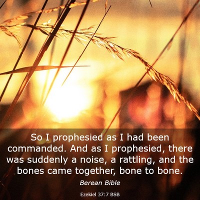 Picture 03 - Ezekiel 37:7 BSB - So I prophesied as I had been commanded. And as I - Bible Verse Picture
