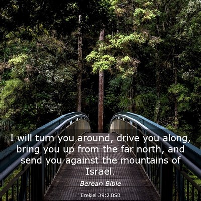 Picture 03 - Ezekiel 39:2 BSB - I will turn you around, drive you along, bring - Bible Verse Picture