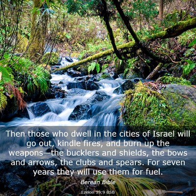 Picture 03 - Ezekiel 39:9 BSB - Then those who dwell in the cities of Israel will - Bible Verse Picture