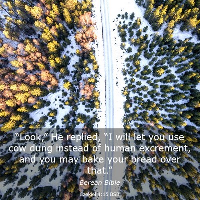 Picture 03 - Ezekiel 4:15 BSB - “Look,” He replied, “I will let you use cow - Bible Verse Picture
