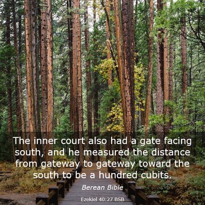 Picture 03 - Ezekiel 40:27 BSB - The inner court also had a gate facing south, and - Bible Verse Picture
