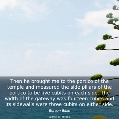 Picture 03 - Ezekiel 40:48 BSB - Then he brought me to the portico of the temple - Bible Verse Picture