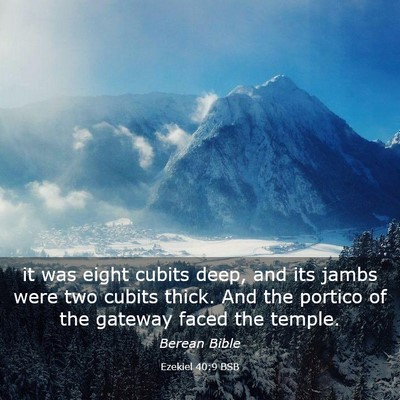 Picture 03 - Ezekiel 40:9 BSB - it was eight cubits deep, and its jambs were two - Bible Verse Picture