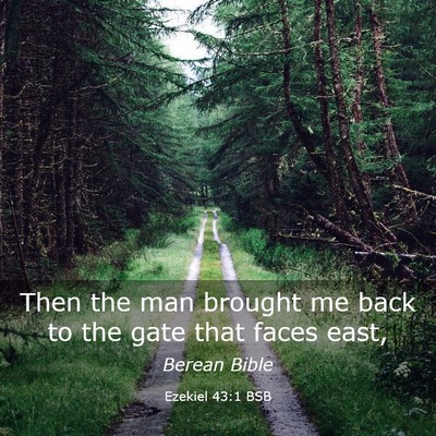 Picture 03 - Ezekiel 43:1 BSB - Then the man brought me back to the gate that - Bible Verse Picture
