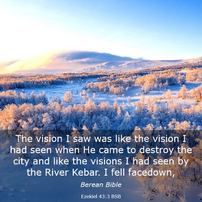 Picture 03 - Ezekiel 43:3 BSB - The vision I saw was like the vision I had seen - Bible Verse Picture