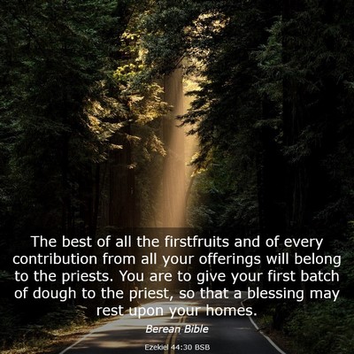 Picture 03 - Ezekiel 44:30 BSB - The best of all the firstfruits and of every - Bible Verse Picture