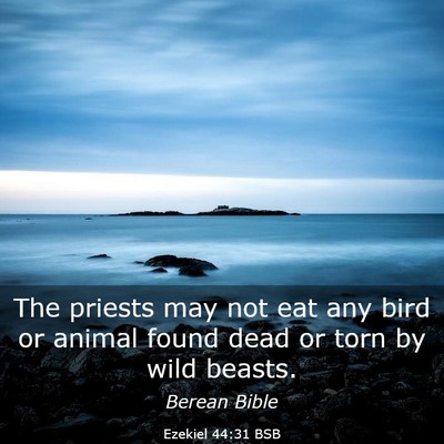 Picture 03 - Ezekiel 44:31 BSB - The priests may not eat any bird or animal found - Bible Verse Picture