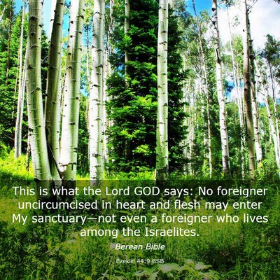 Picture 03 - Ezekiel 44:9 BSB - This is what the Lord GOD says: No foreigner - Bible Verse Picture