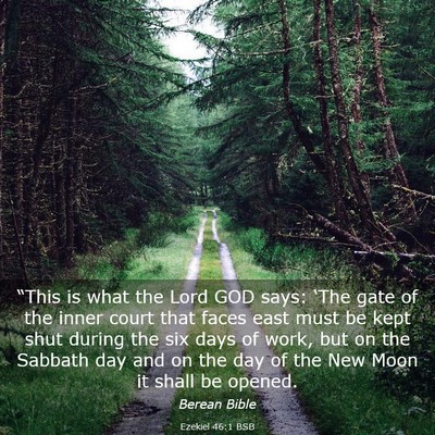 Picture 03 - Ezekiel 46:1 BSB - “This is what the Lord GOD says: ‘The gate of - Bible Verse Picture