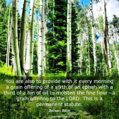 Picture 03 - Ezekiel 46:14 BSB - You are also to provide with it every morning a - Bible Verse Picture