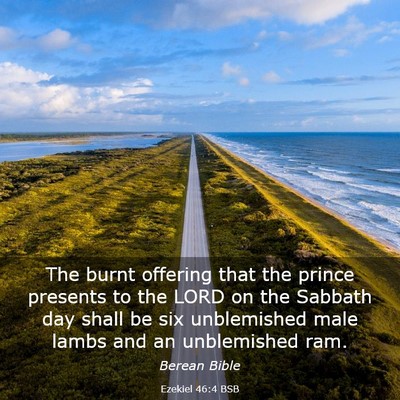 Picture 03 - Ezekiel 46:4 BSB - The burnt offering that the prince presents to - Bible Verse Picture