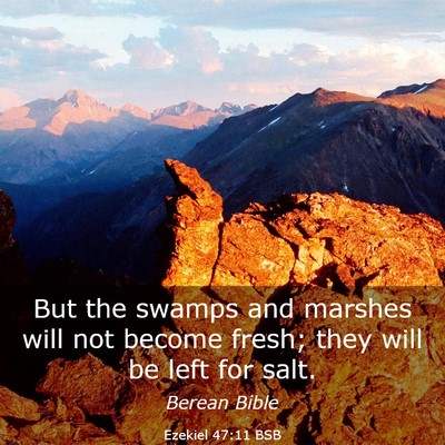 Picture 03 - Ezekiel 47:11 BSB - But the swamps and marshes will not become fresh; - Bible Verse Picture