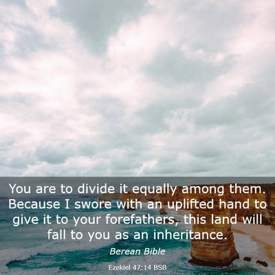 Picture 03 - Ezekiel 47:14 BSB - You are to divide it equally among them. Because - Bible Verse Picture