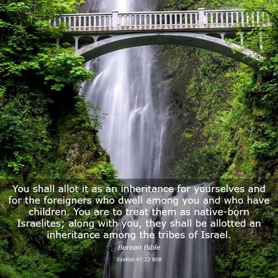 Picture 03 - Ezekiel 47:22 BSB - You shall allot it as an inheritance for - Bible Verse Picture