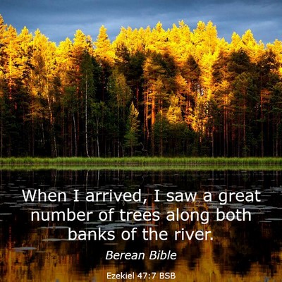 Picture 03 - Ezekiel 47:7 BSB - When I arrived, I saw a great number of trees - Bible Verse Picture
