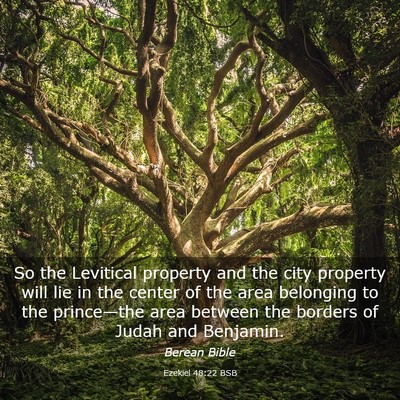 Picture 03 - Ezekiel 48:22 BSB - So the Levitical property and the city property - Bible Verse Picture