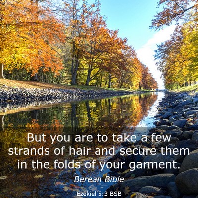 Picture 03 - Ezekiel 5:3 BSB - But you are to take a few strands of hair and - Bible Verse Picture