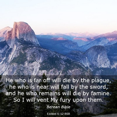Picture 03 - Ezekiel 6:12 BSB - He who is far off will die by the plague, he who - Bible Verse Picture
