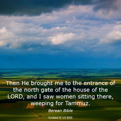 Picture 03 - Ezekiel 8:14 BSB - Then He brought me to the entrance of the north - Bible Verse Picture