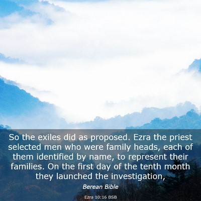 Picture 03 - Ezra 10:16 BSB - So the exiles did as proposed. Ezra the priest - Bible Verse Picture