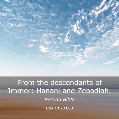 Picture 03 - Ezra 10:20 BSB - From the descendants of Immer: Hanani and - Bible Verse Picture