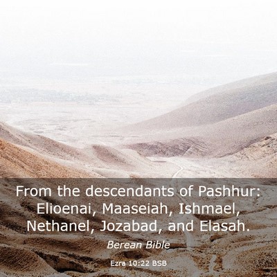 Picture 03 - Ezra 10:22 BSB - From the descendants of Pashhur: Elioenai, - Bible Verse Picture