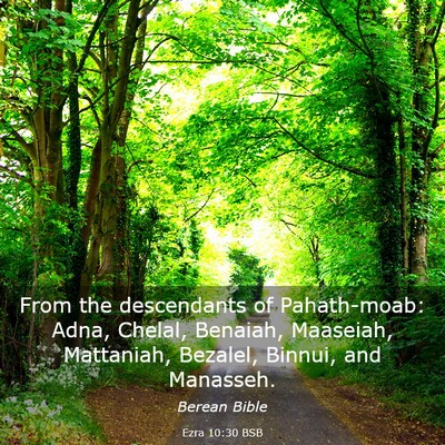 Picture 03 - Ezra 10:30 BSB - From the descendants of Pahath-moab: Adna, - Bible Verse Picture