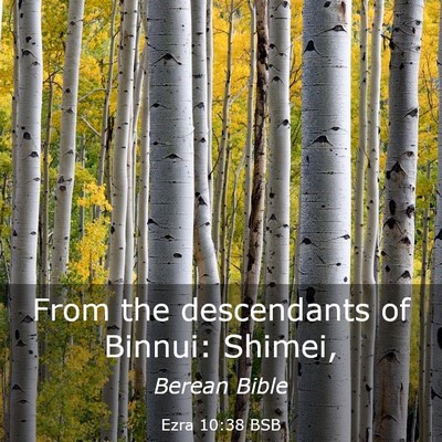 Picture 03 - Ezra 10:38 BSB - From the descendants of Binnui: - Bible Verse Picture