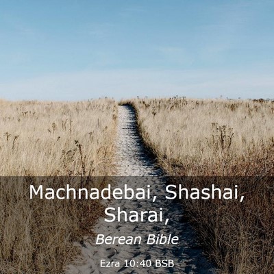 Picture 03 - Ezra 10:40 BSB - Machnadebai, Shashai, - Bible Verse Picture